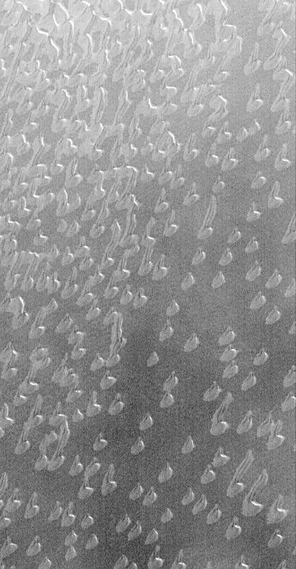 NASA's Mars Global Surveyor shows autumn frost in the martian northern hemisphere around August 1, 1999.