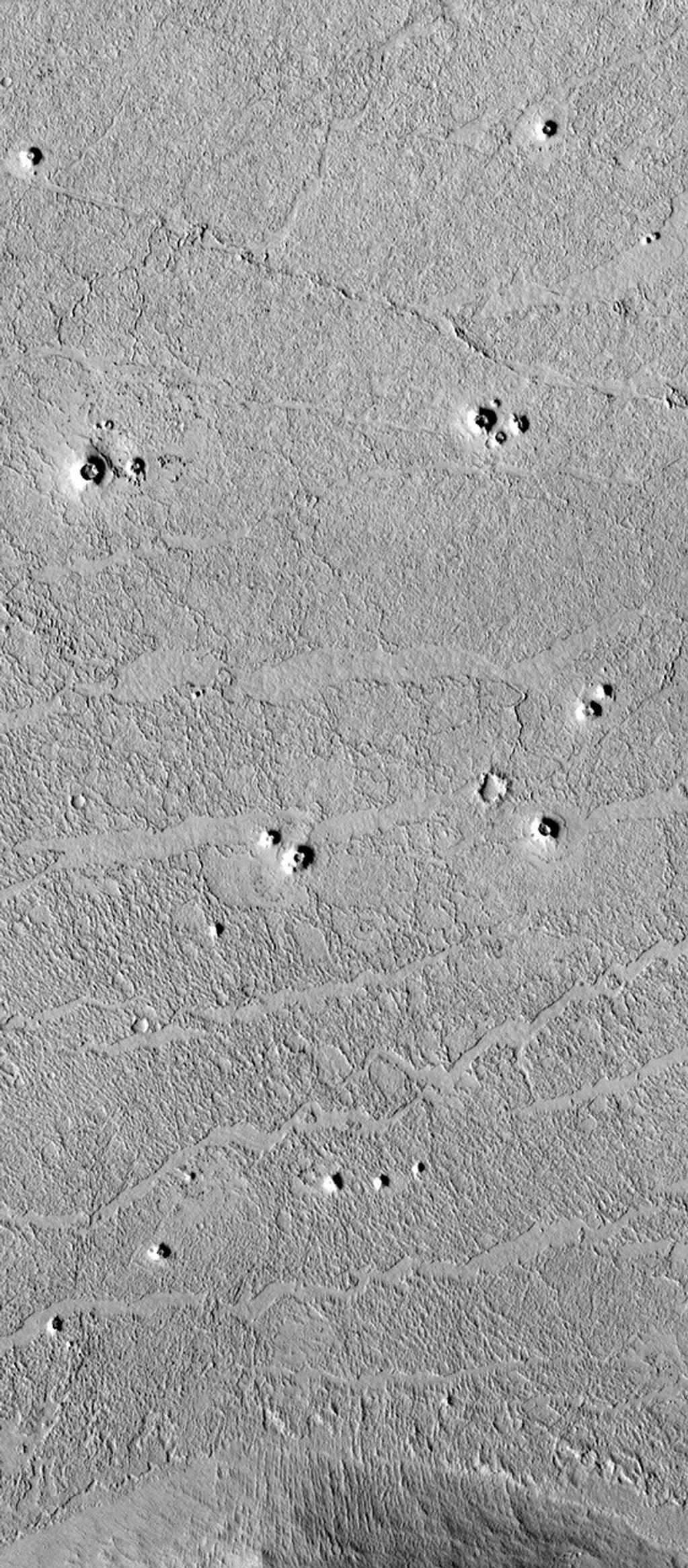 NASA's Mars Global Surveyor shows small cone-shaped structures on lava flows in southern Elysium Planitia, Marte Valles, and northwestern Amazonis Planitia in the northern hemisphere of the red planet Mars.