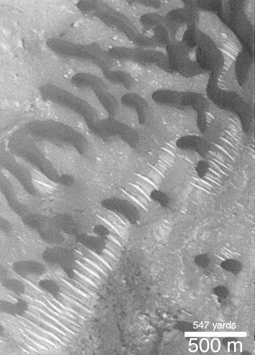 NASA's Mars Global Surveyor shows dark and somewhat crescent-shaped dunes on Mars.