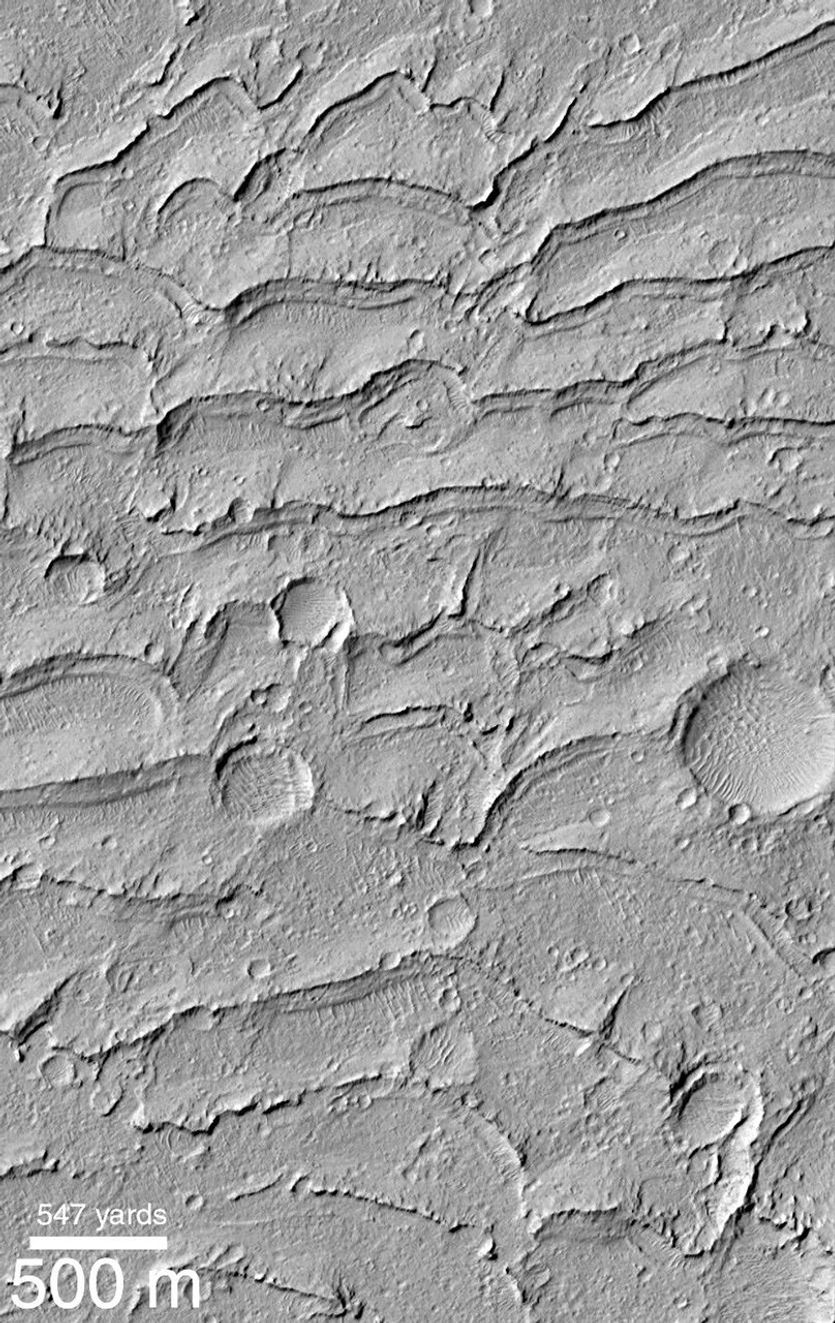 NASA's Mars Global Surveyor shows a field of parallel ridges north of a dune field in a wind-eroded material named the Apollinaris Sulci on Mars.