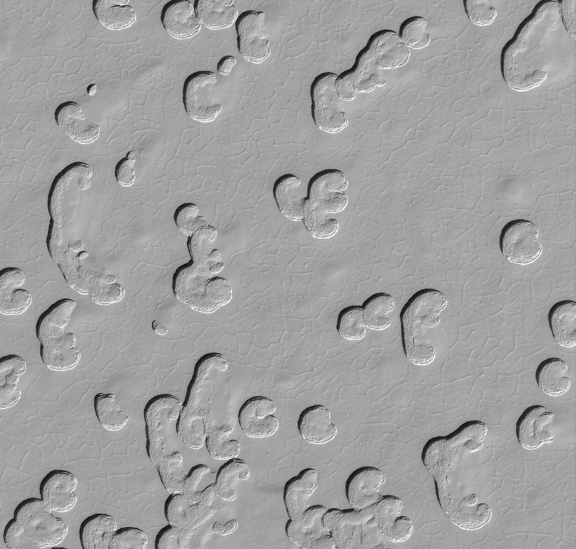 NASA's Mars Global Surveyor shows some of the variety of surface textures observed on Mars' south polar residual cap. Polygonal patterns created by shallow troughs and large, almost circular pits formed by collapse are evident.