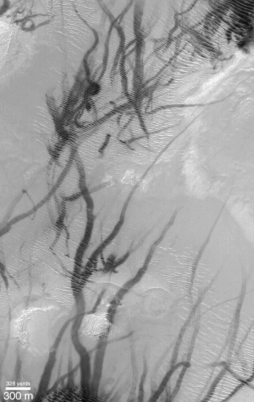 NASA's Mars Global Surveyor shows the northern and southern hemispheres of Mars with wild patterns of criss-crossing dark streaks. Many of these streaks are straight and narrow, others exhibit curly arcs, twists, and loops.