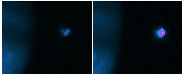 These false-color images of Io and Jupiter were taken with the NASA Infrared Telescope Facility at Mauna Kea, Hawaii, as part of a campaign to support closeup Io observations by NASA's Galileo spacecraft.