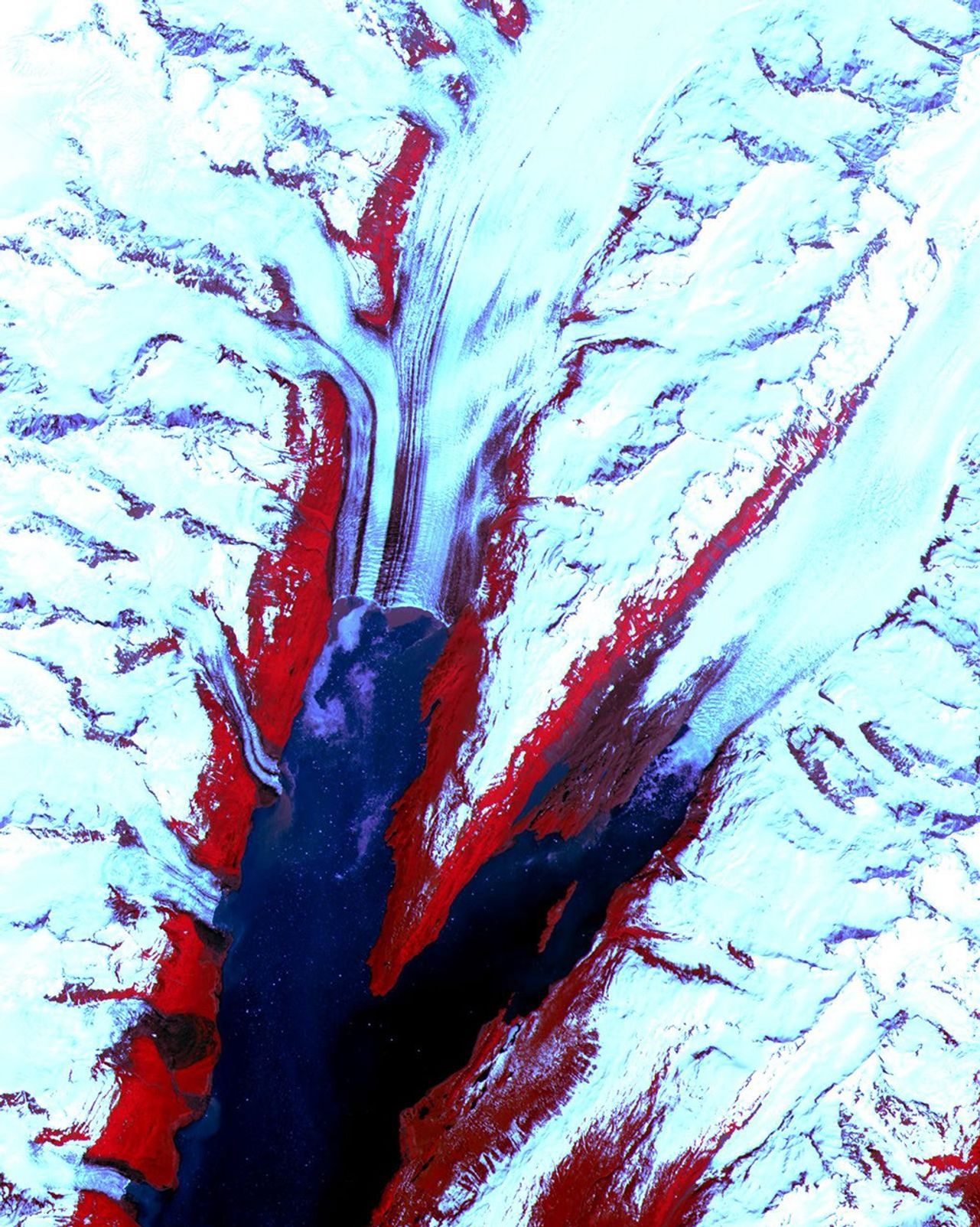 The College Fjord with its glaciers was imaged by NASA's Terra satellite on June 24, 2000.