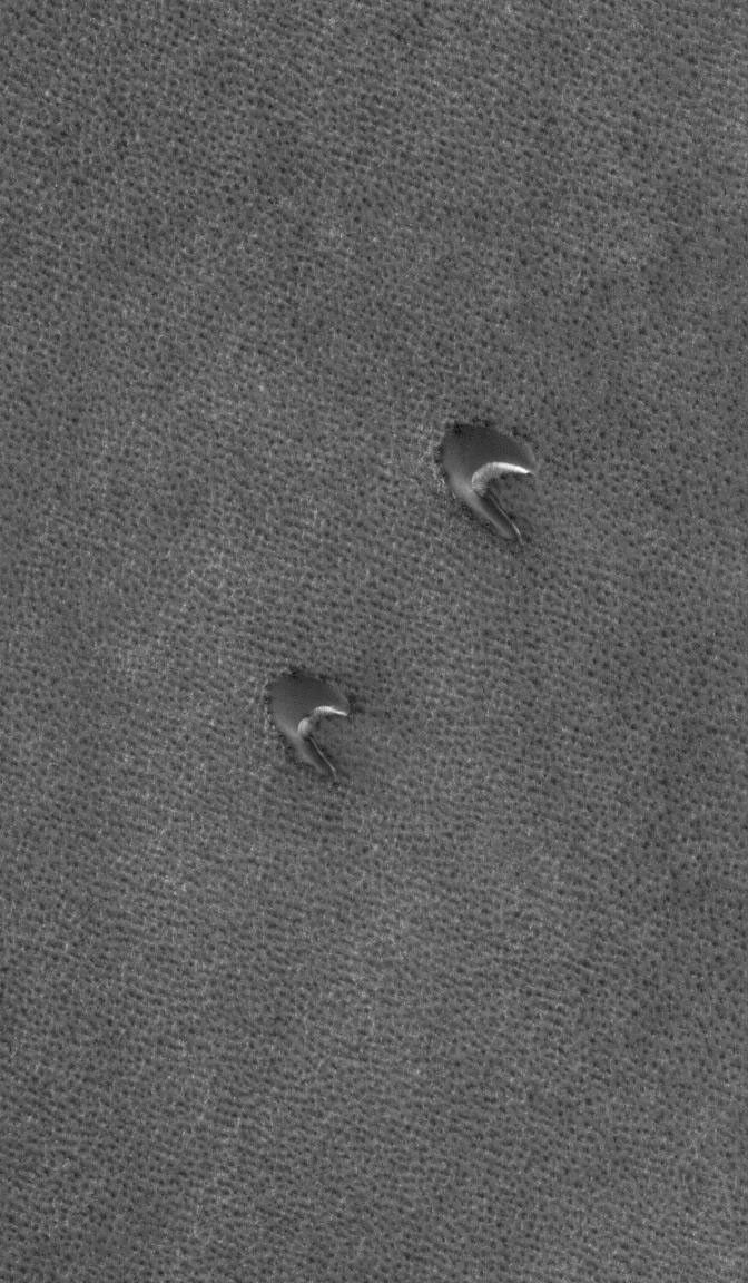 NASA's Mars Global Surveyor shows two barchan dunes in the north polar region of Mars. The orientation of the dunes, with the steep faces pointed toward the southeast, indicates that the winds responsible for their formation blew from the northwest.