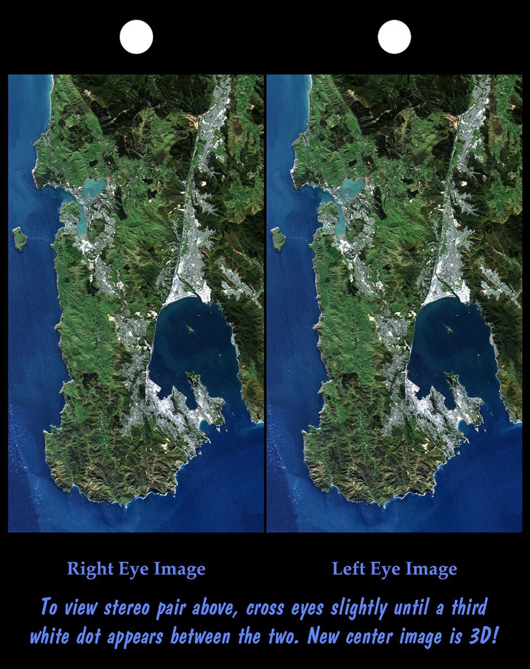 This image from NASA's Shuttle Radar Topography Mission shows Wellington, the capital city of New Zealand, located on the shores of Port Nicholson, a natural harbor at the south end of North Island.