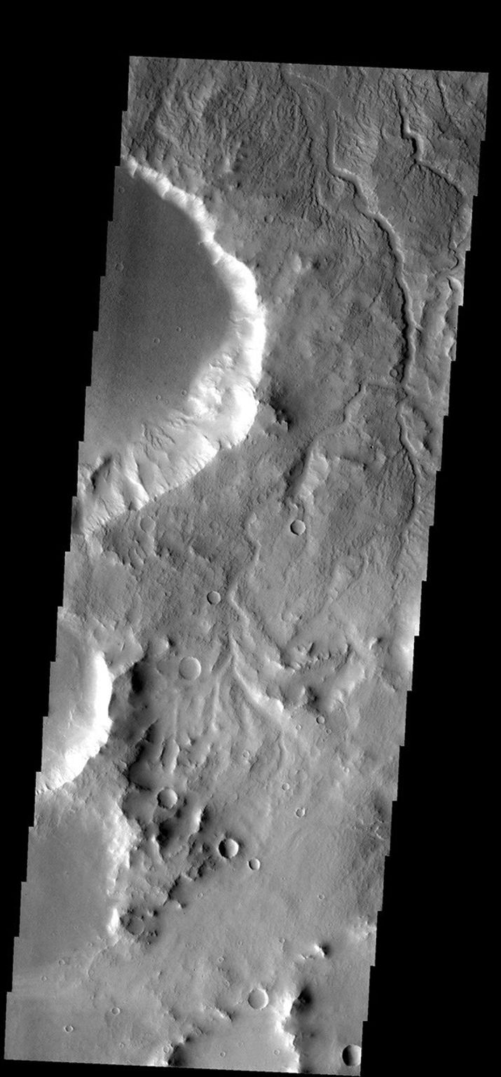 The many small channels dissecting the top part of this image are drainage valleys on Mars. Most are draining downhill to the top of the image as seen by NASA's 2001 Mars Odyssey.