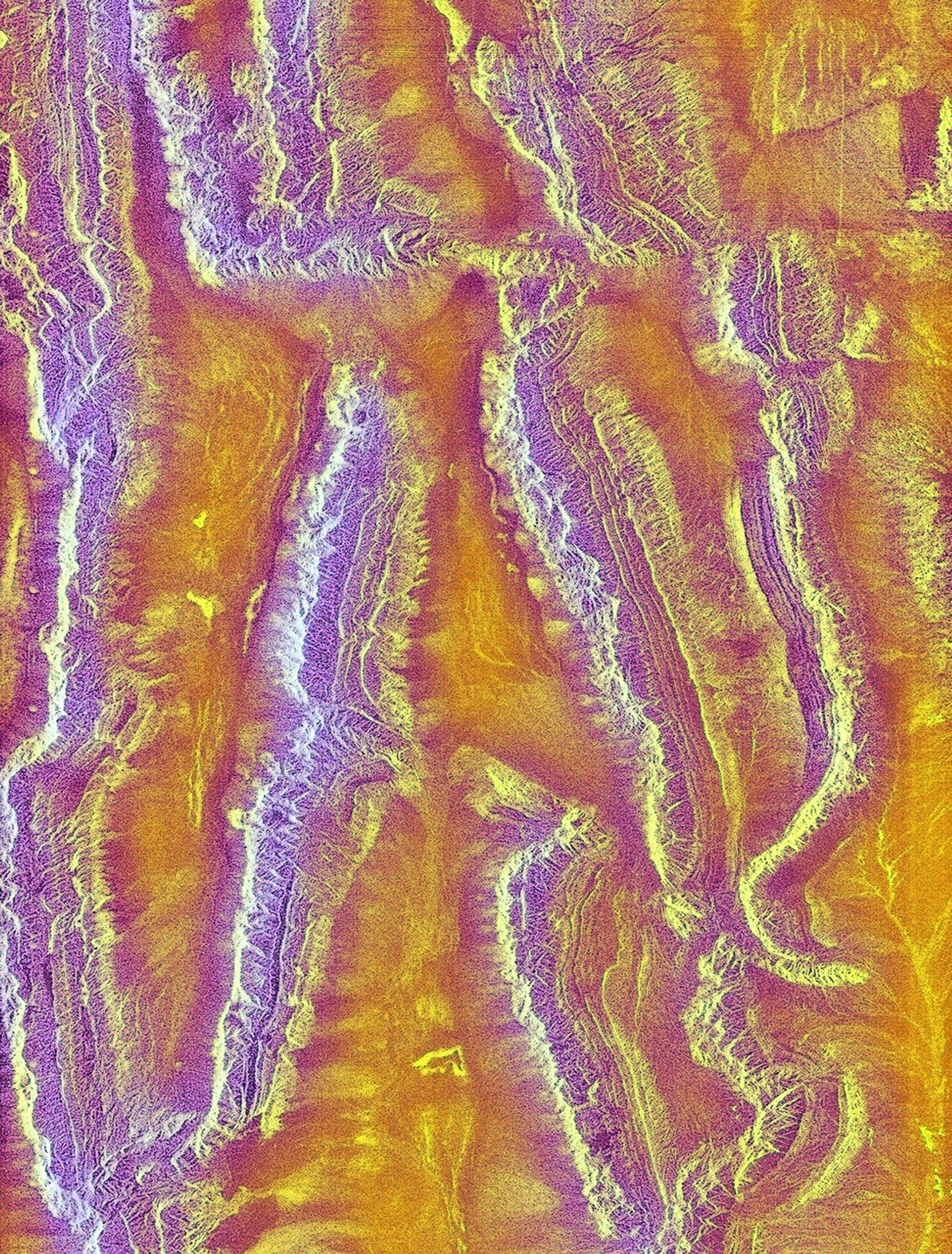 The objective of NASA's Shuttle Imaging Radar A (SIR-A) was to observe the Earth by use of radar imagery, acquire and transmit data of different geologic regions. This is a view of China in 2000.
