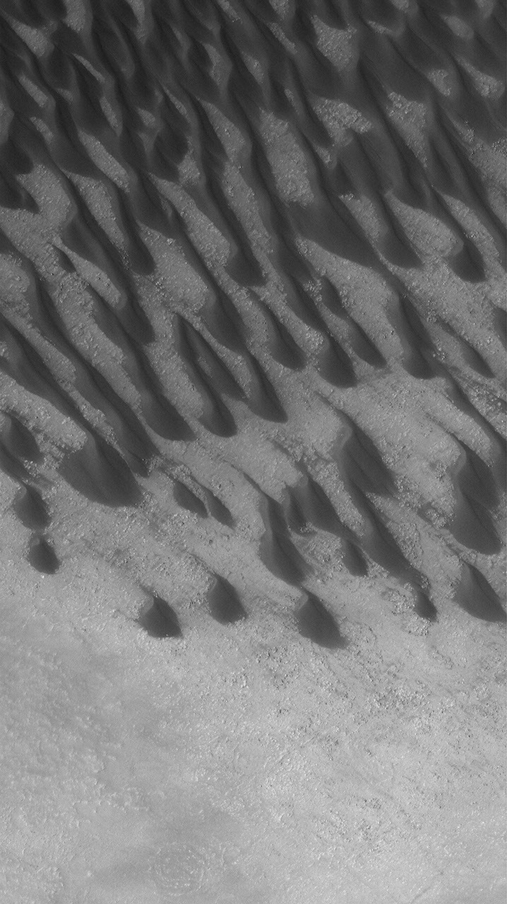 NASA's Mars Global Surveyor shows dark, windblown sand dunes on the floor of Brashear Crater in the southern hemisphere of Mars.