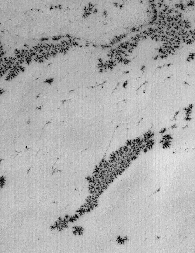 NASA's Mars Global Surveyor shows a frost-covered surface in the martian south polar region.