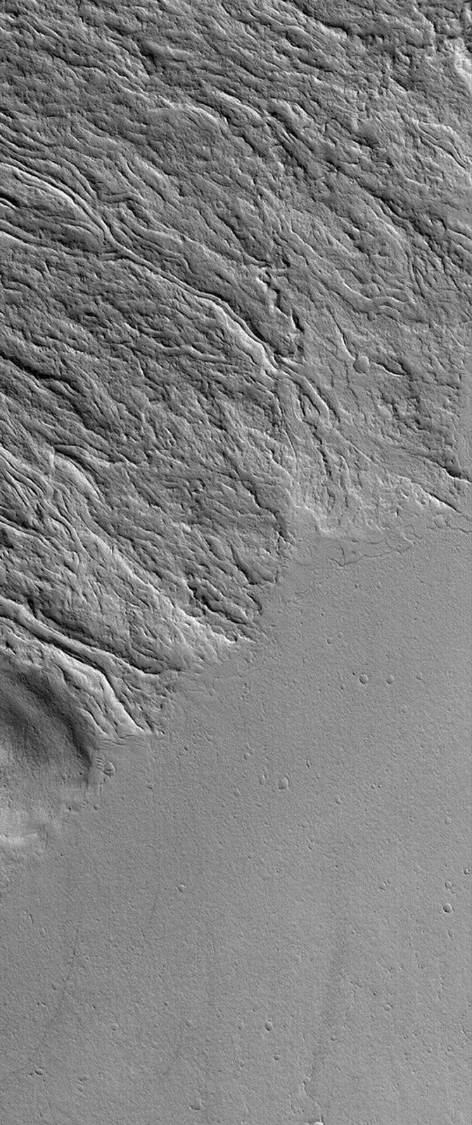 NASA's Mars Global Surveyor shows lava flows at the southeast base of the giant volcano, Olympus Mons on Mars. The flat plain in the south-southeast portion of the image is younger than and cuts off the ends of many of the lava flows.