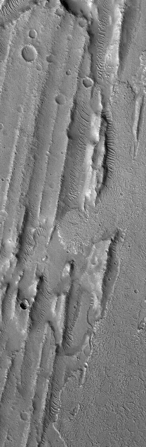 NASA's Mars Global Surveyor shows flow materials among a suite of sharp ridges and grooves on the floor of the vast Kasei Valles system on Mars. The ridges and grooves are much older and are believed to be the result of a giant, catastrophic flood.
