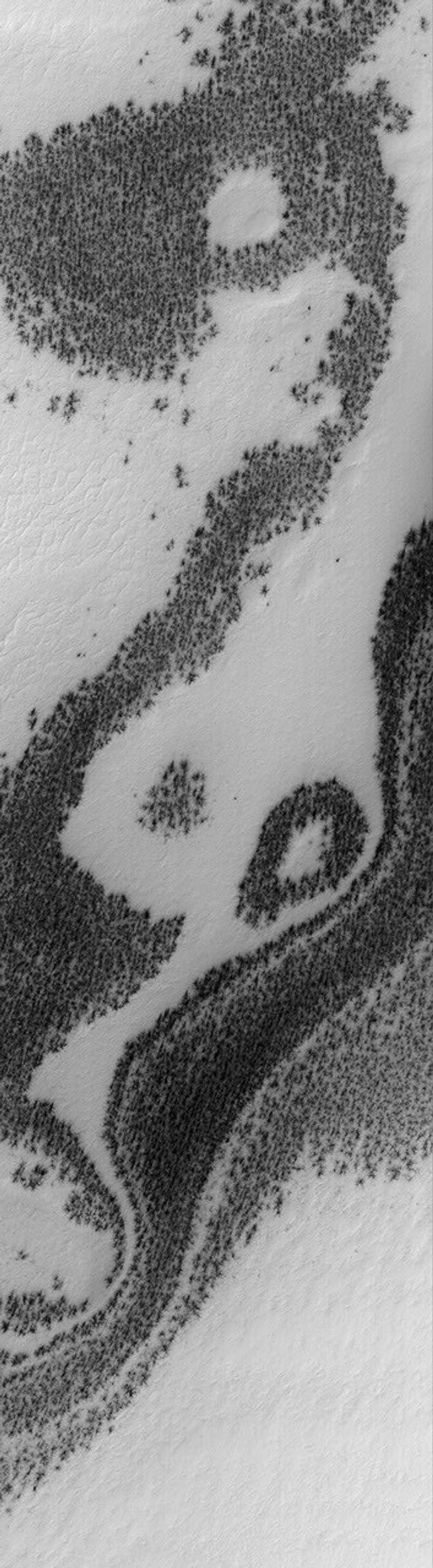 NASA's Mars Global Surveyor shows Mars' south polar scene, covered by bright, seasonal, carbon dioxide frost. The dark patches are areas where the frost has begun to sublime away.