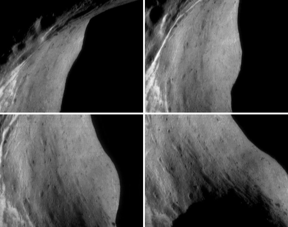 Tracking a Feature on Eros - NASA Science