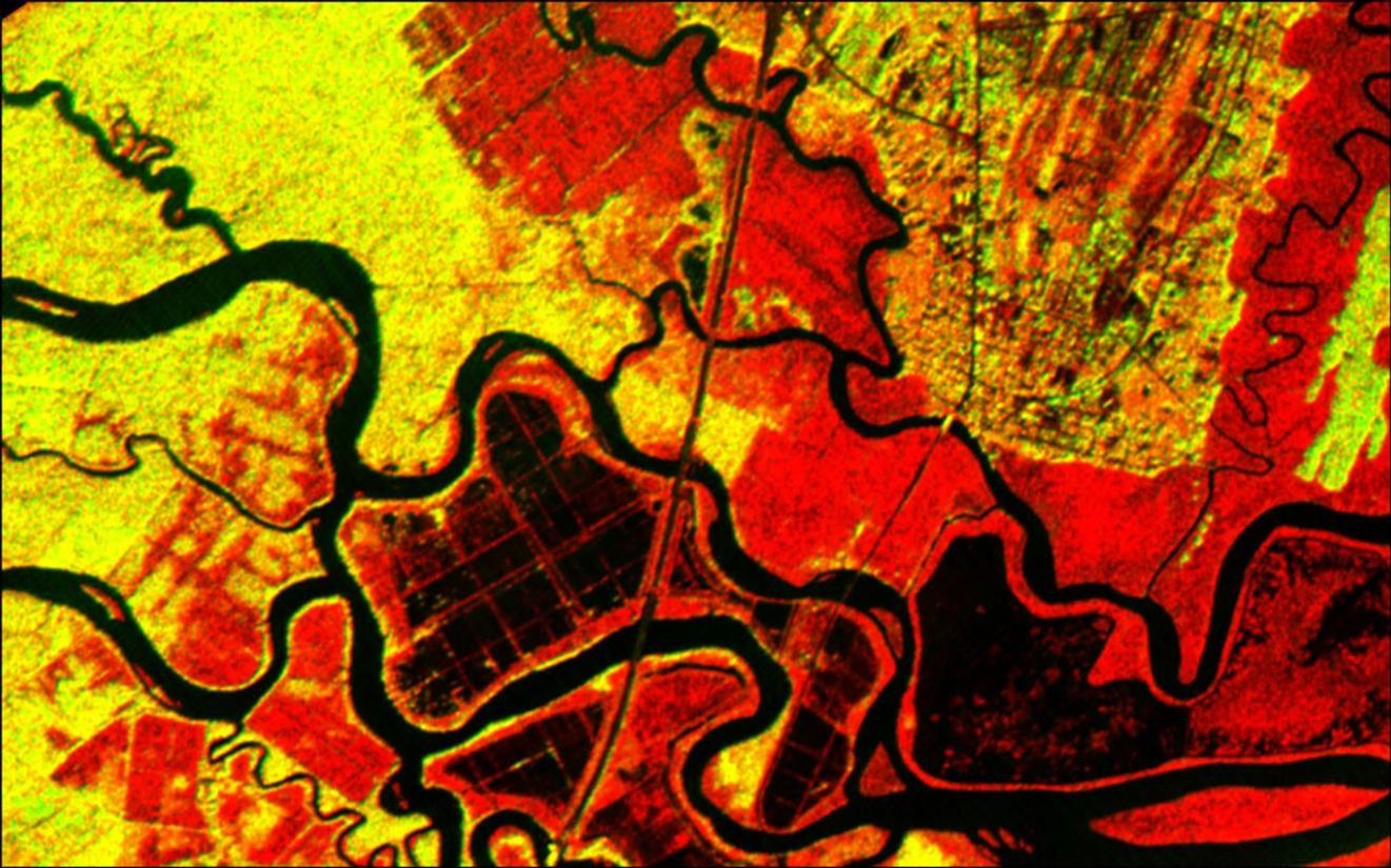 This radar image acquired by NASA's Airborne Synthetic Aperture Radar in 2001, shows the Altamaha River Delta in the Georgia Sea Islands.