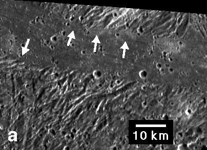 Embayment of ridges and troughs in a portion of the Sippar Sulcus area of Jupiter's moon Ganymede in this image from NASA's Galileo spacecraft is interpreted as evidence that the low-lying area was filled in by flooding with low-viscosity material.