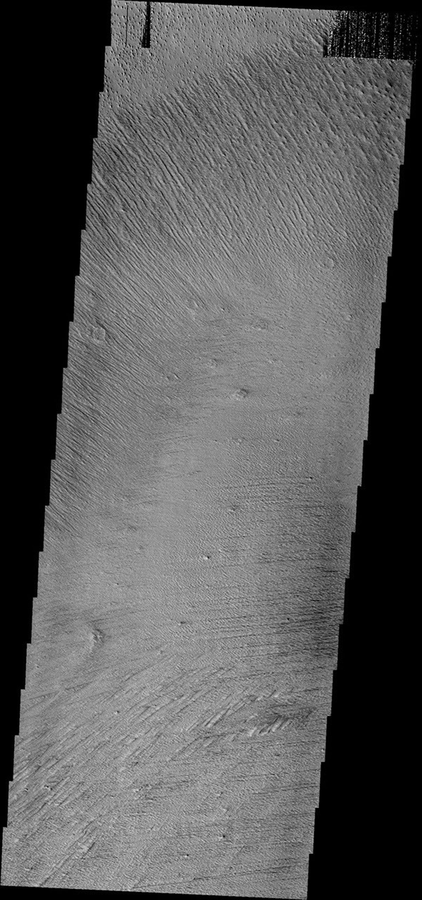 The multiple trends of yardangs in this image indicate that the winds in the Elysium region on Mars have changed direction several times as seen by NASA's 2001 Mars Odyssey spacecraft.