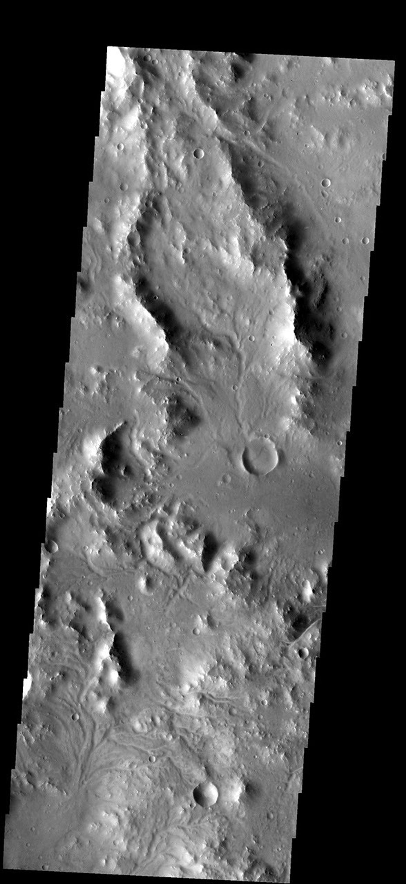 Small channels dissect this region near Nectaris Fossae on Mars as seen by NASA's 2001 Mars Odyssey spacecraft.