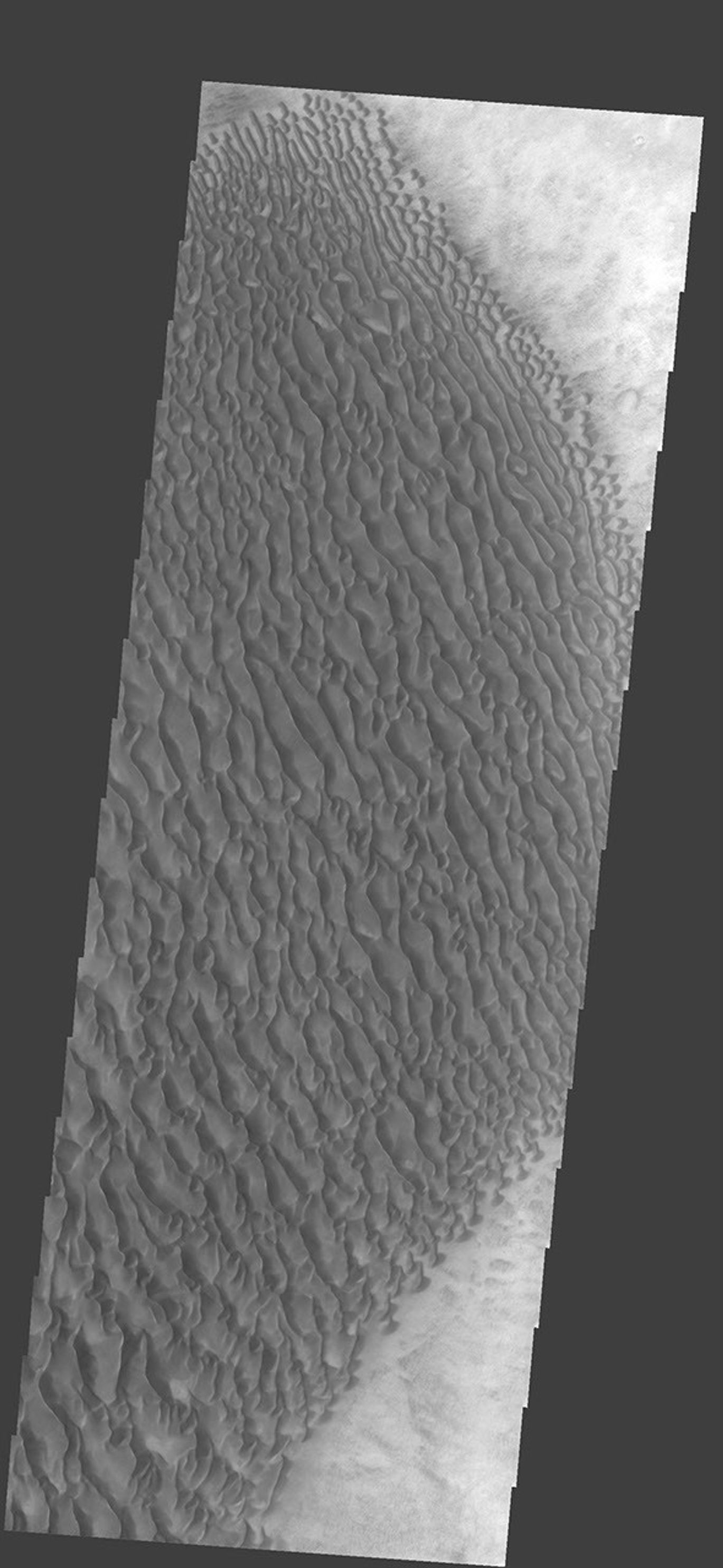 This large dune field is located on the floor of Proctor Crater on Mars as seen by NASA's 2001 Mars Odyssey spacecraft.