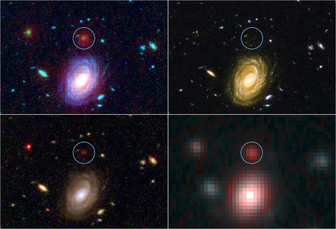【THEONE限定版】 BABYL L GALAXY Big Galaxy in Baby Universe - NASA Science