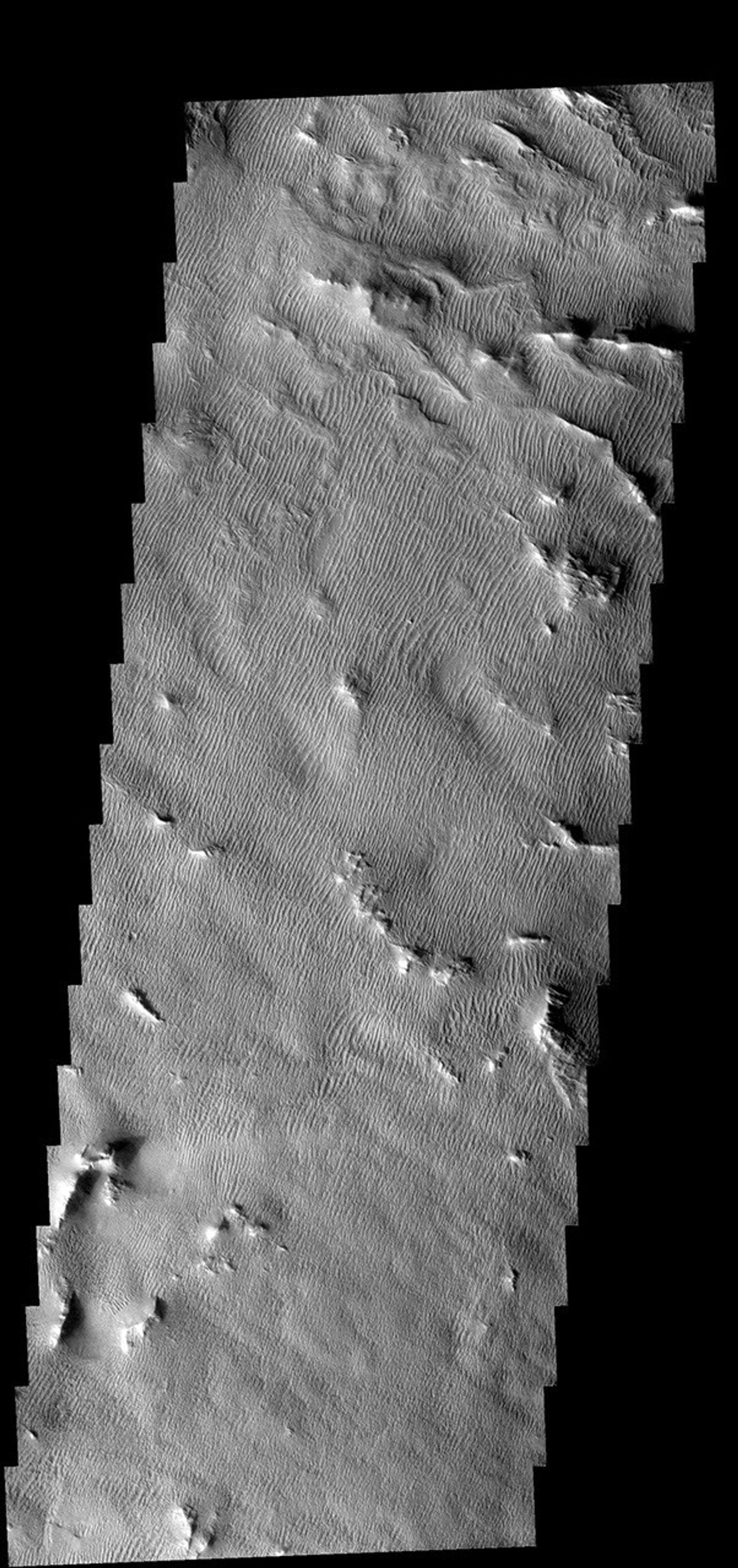 Aside from a few highstanding ridges, the Gigas Sulci region on Mars is completely dust/sand covered. The wind has formed dunes across the region. This image is from NASA's 2001 Mars Odyssey spacecraft.