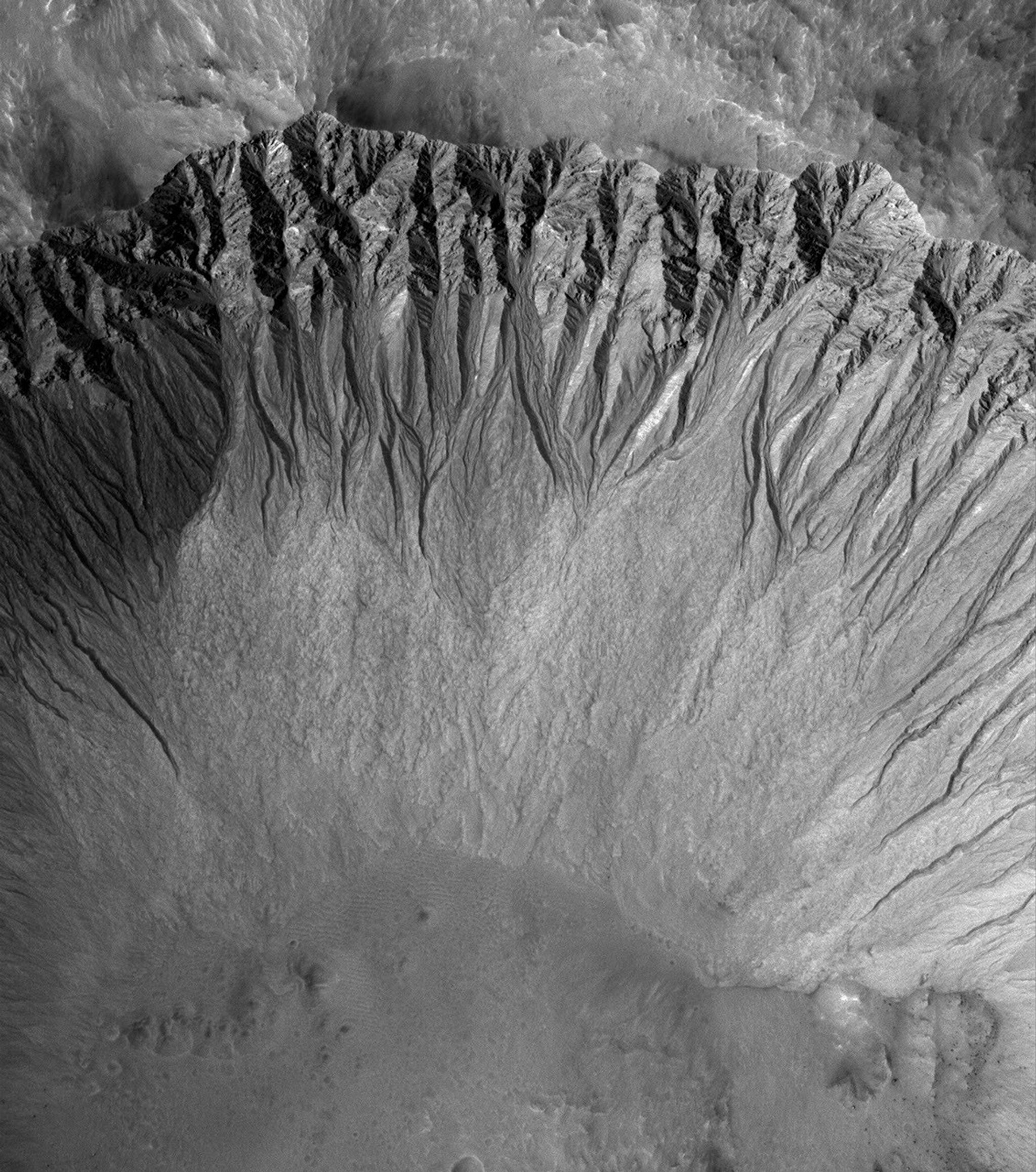 NASA's Mars Global Surveyor image shows a suite of south mid-latitude gullies on a crater wall. Gullies such as these may have formed by runoff of liquid water.