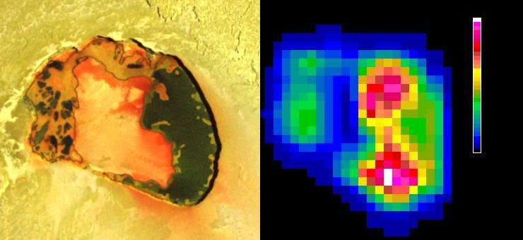 Tupan Caldera, a volcanic crater on Jupiter's moon Io, has a relatively cool area, possibly an island, in its center, as indicated by infrared imagery from NASA's Galileo spacecraft during an Oct. 16, 2001 flyby.