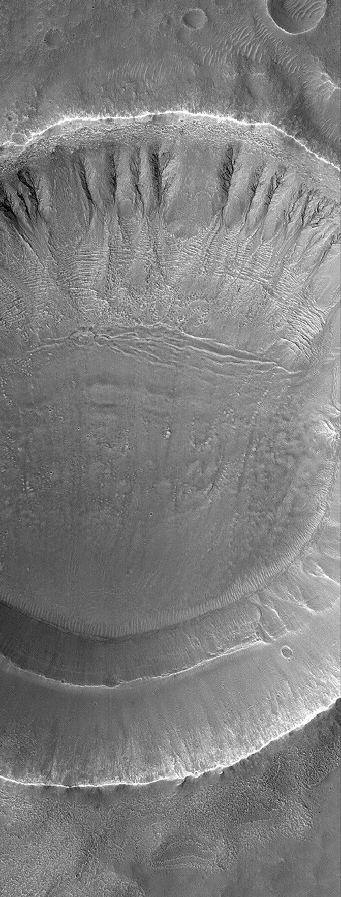 NASA's Mars Global Surveyor shows gullies formed in the walls of an impact crater on Mars. Such gullies might result from seepage and runoff of groundwater.