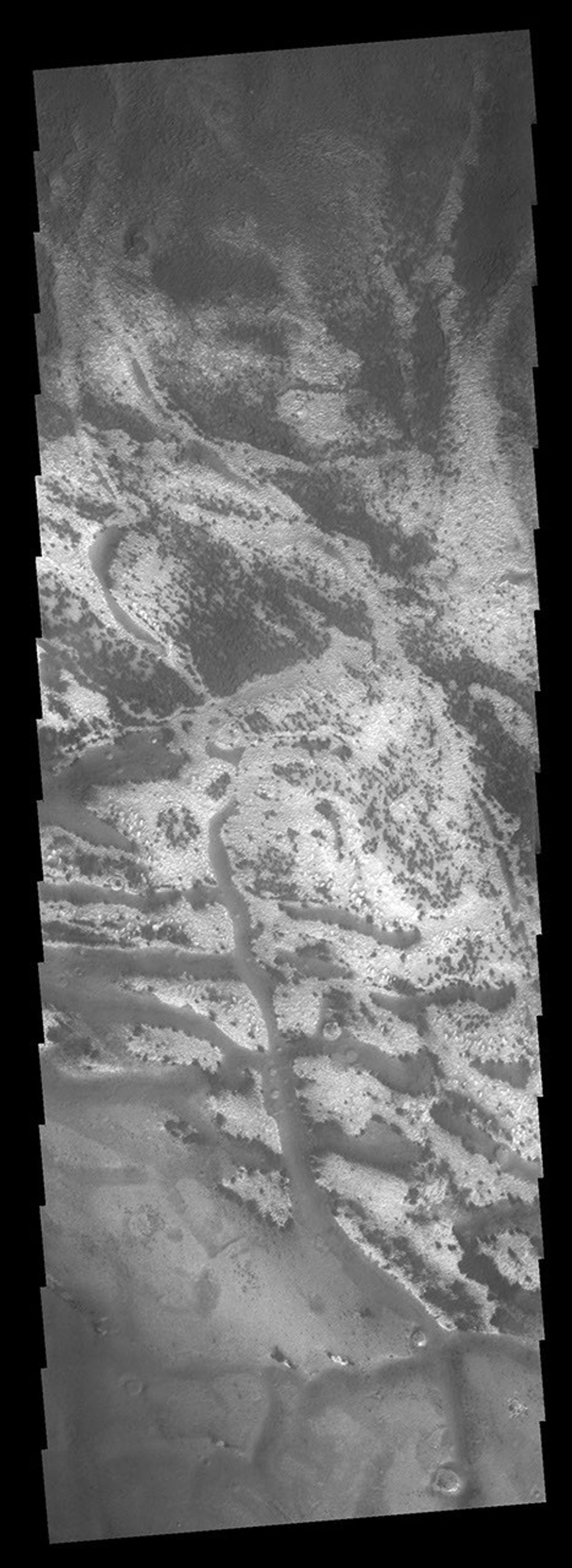 The polar region on Mars illustrates the effect of the sun on polar frost. The highstanding ridges have lost all their frost cover, while the lows shaded by the ridges still have a bright frost cover as seen by NASA's 2001 Mars Odyssey spacecraft.