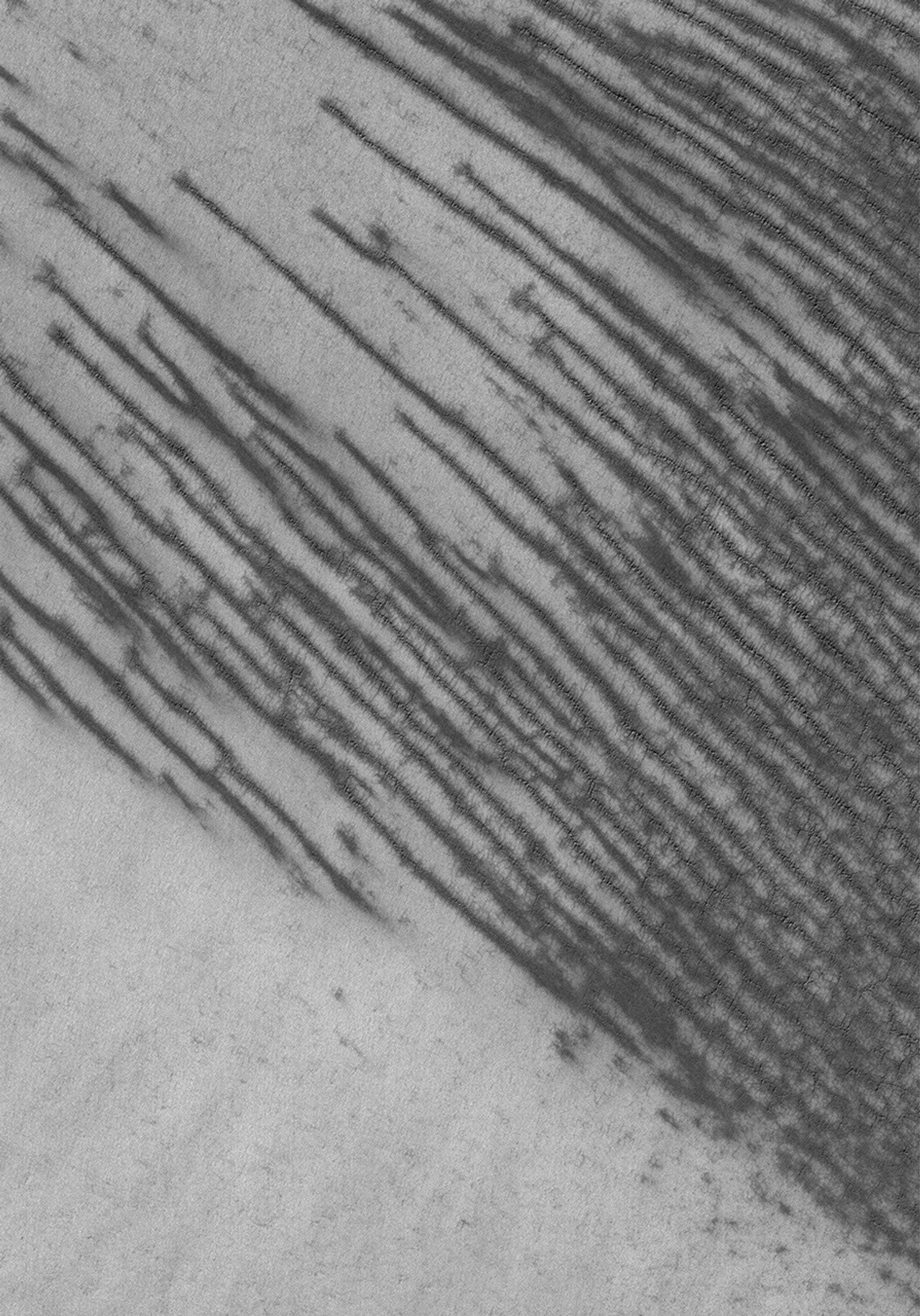 NASA's Mars Global Surveyor shows a frost-covered surface in Mars' south polar region. The substrate beneath the frost is cracked, and seasonal frost surrounding each crack has begun to sublime away.