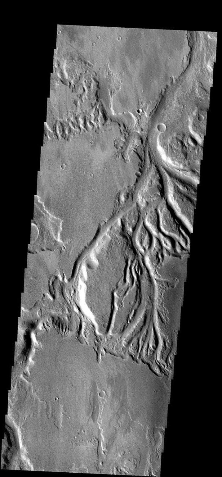 These small channels join to become Sabis Vallis on Mars as seen by NASA's 2001 Mars Odyssey spacecraft.