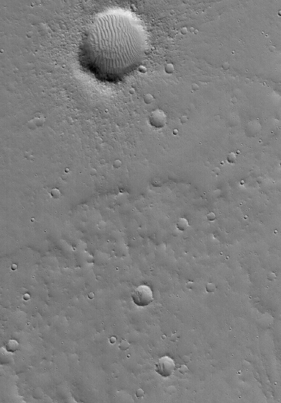 NASA's Mars Global Surveyor shows a cratered surface in the Tempe Terra region on Mars. This view presents a fairly typical scene from the plains northeast of the Tharsis region.