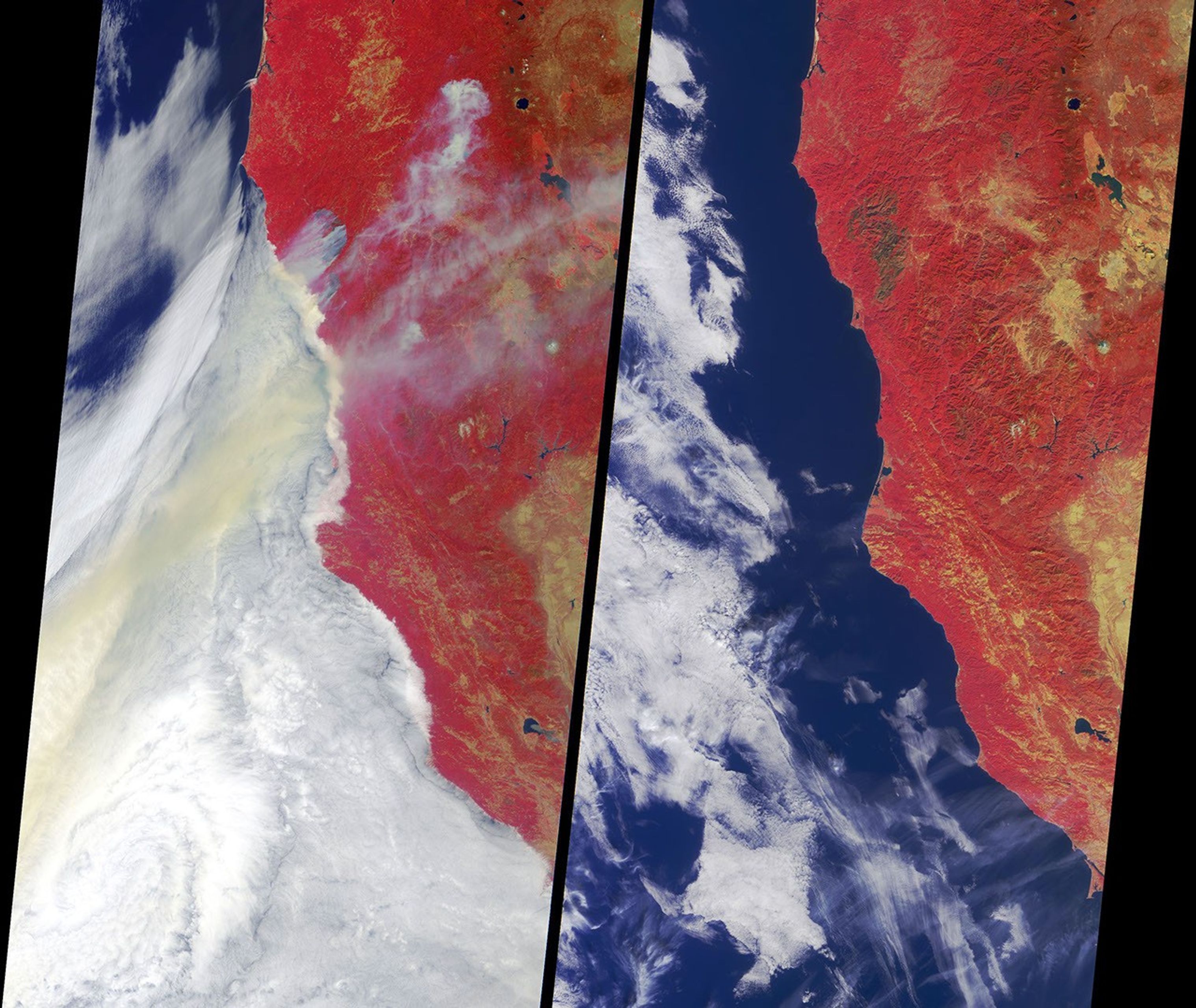 Ignited by lightning strikes during a record-breaking heat wave, the Biscuit Fire became Oregon's largest wildfire of the past century. NASA's Terra spacecraft acquired these image between mid July and early September 2002.