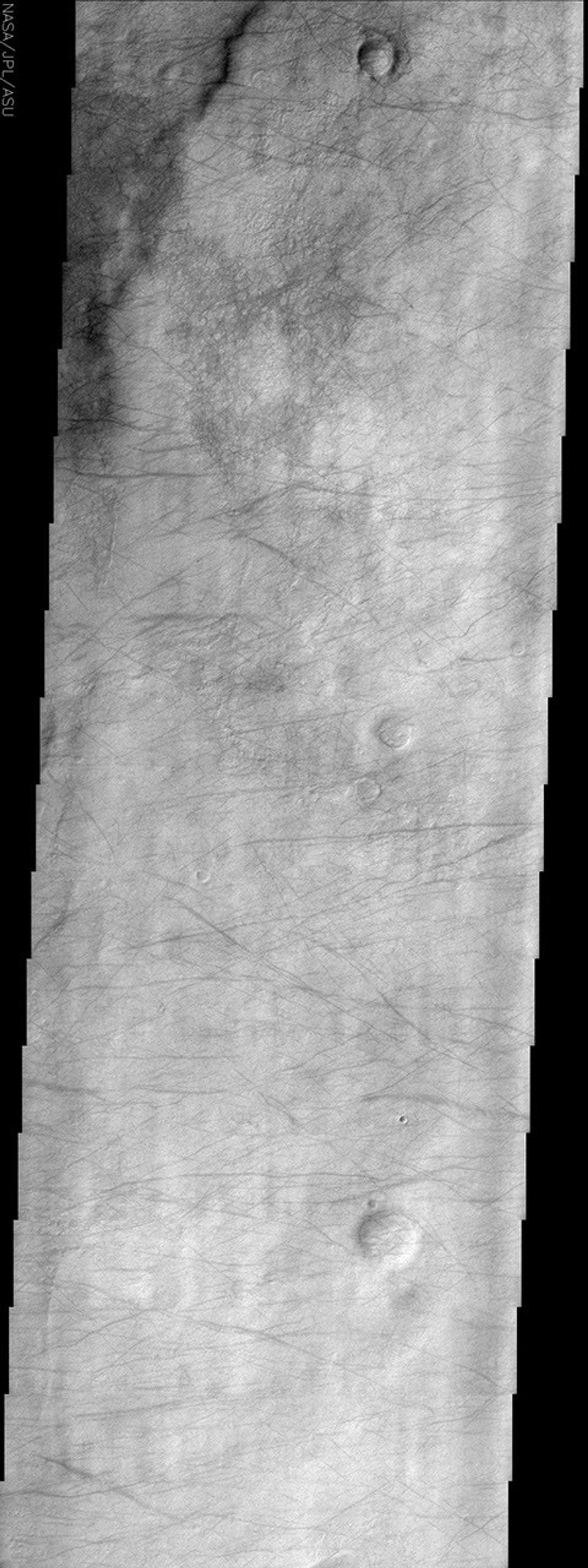 This image from NASA's Mars Odyssey spacecraft displays dust devil tracks on the surface of Mars. Most of the lighter portions of the image likely have a thin veneer of dust settled on the surface.