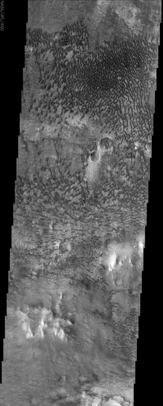 This NASA Mars Odyssey image shows a remarkable array of dunes on the floor of a large impact crater named Baldet. Many of the dunes in this region are isolated features with large, sand-free 'interdune' surfaces between the individual dunes.