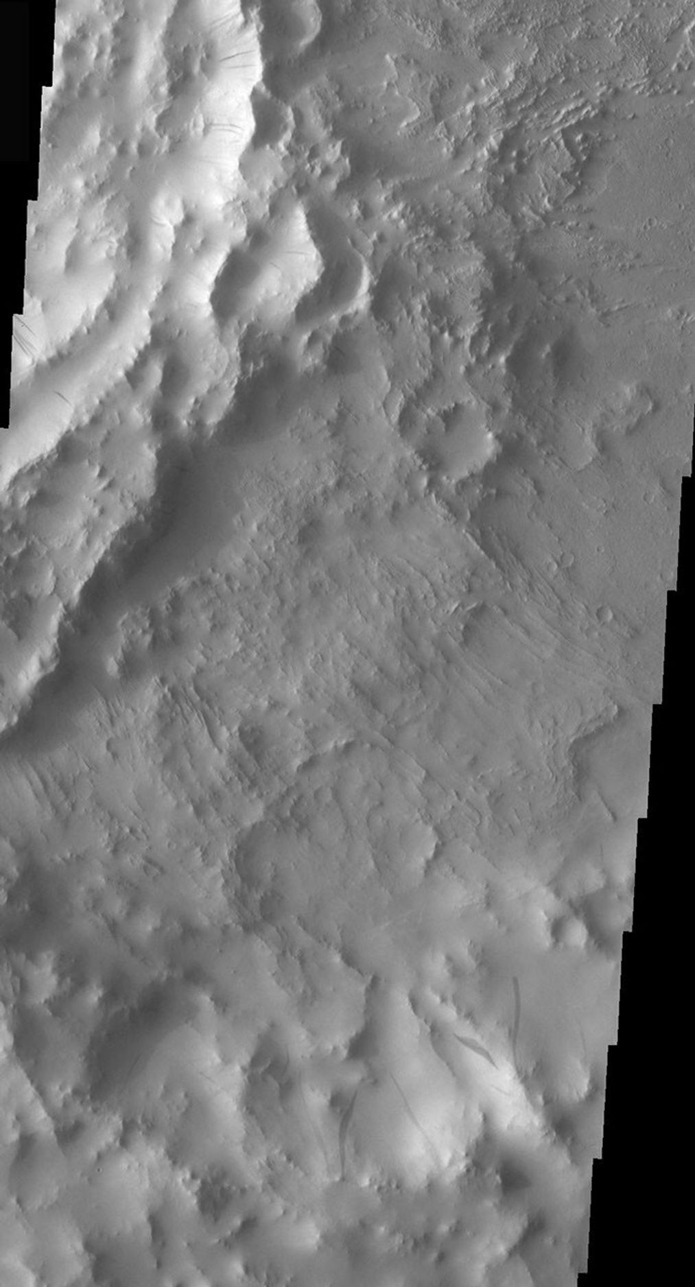 This image from NASA's Mars Odyssey spacecraft shows that dust avalanches, also called slope streaks, occur on many Martian terrains. This region of dust avalanches is located in and around a crater to the west of Tikhonravov Crater.