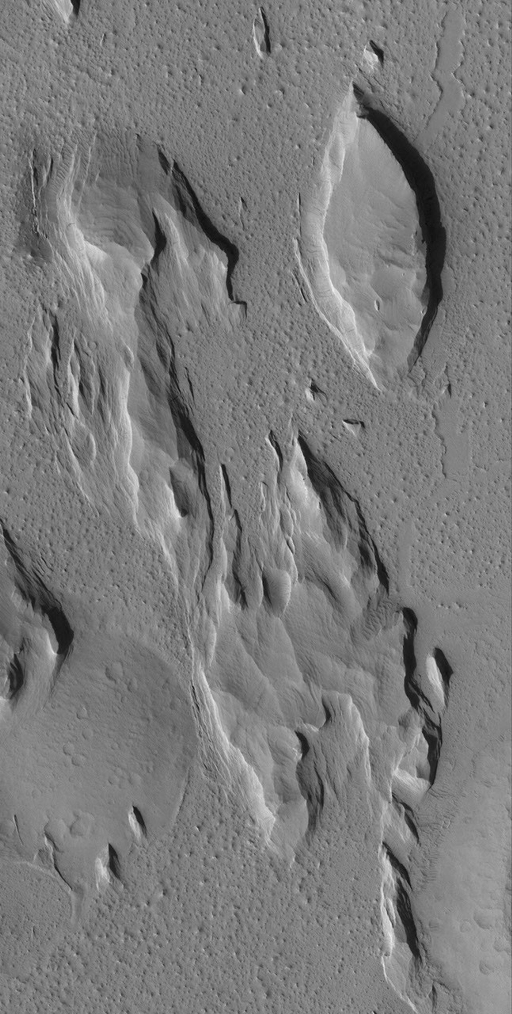 NASA's Mars Global Surveyor shows classic yardangs, landforms created by wind erosion in southern Amazonis Planitia on Mars. The boat-shaped mesa, in particular, is a classic example of a yardang landform.