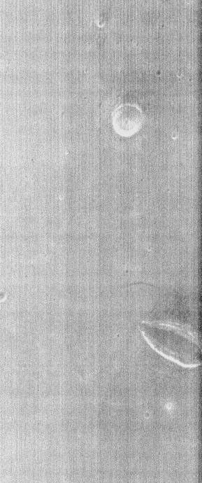 NASA's Mars Odyssey spacecraft takes a look at THEMIS image as art. Many science-fiction writers have postulated many life forms on Mars. Mars blows a kiss.