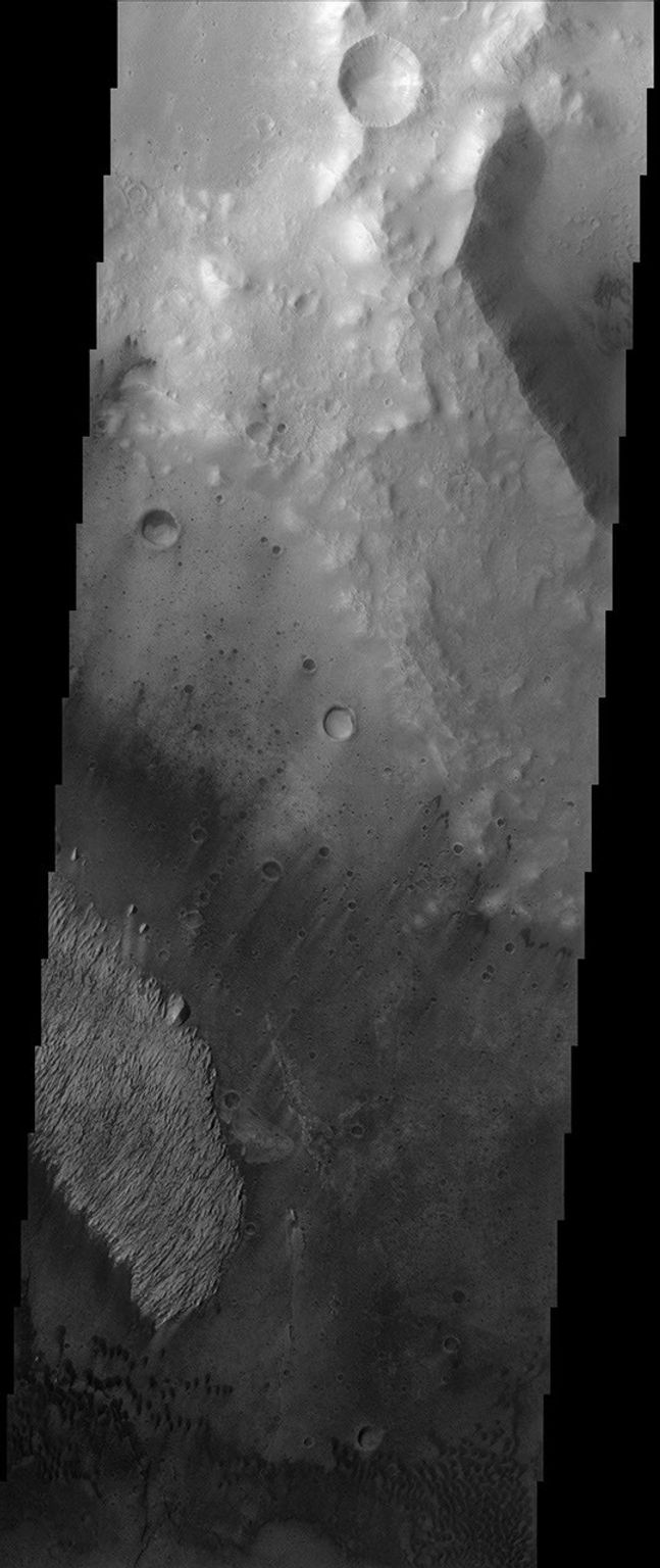Like many of the craters in the Oxia Palus region of Mars, Trouvelot Crater, shown in this NASA Mars Odyssey image, hosts an eroded, light-toned, sedimentary deposit on its floor.