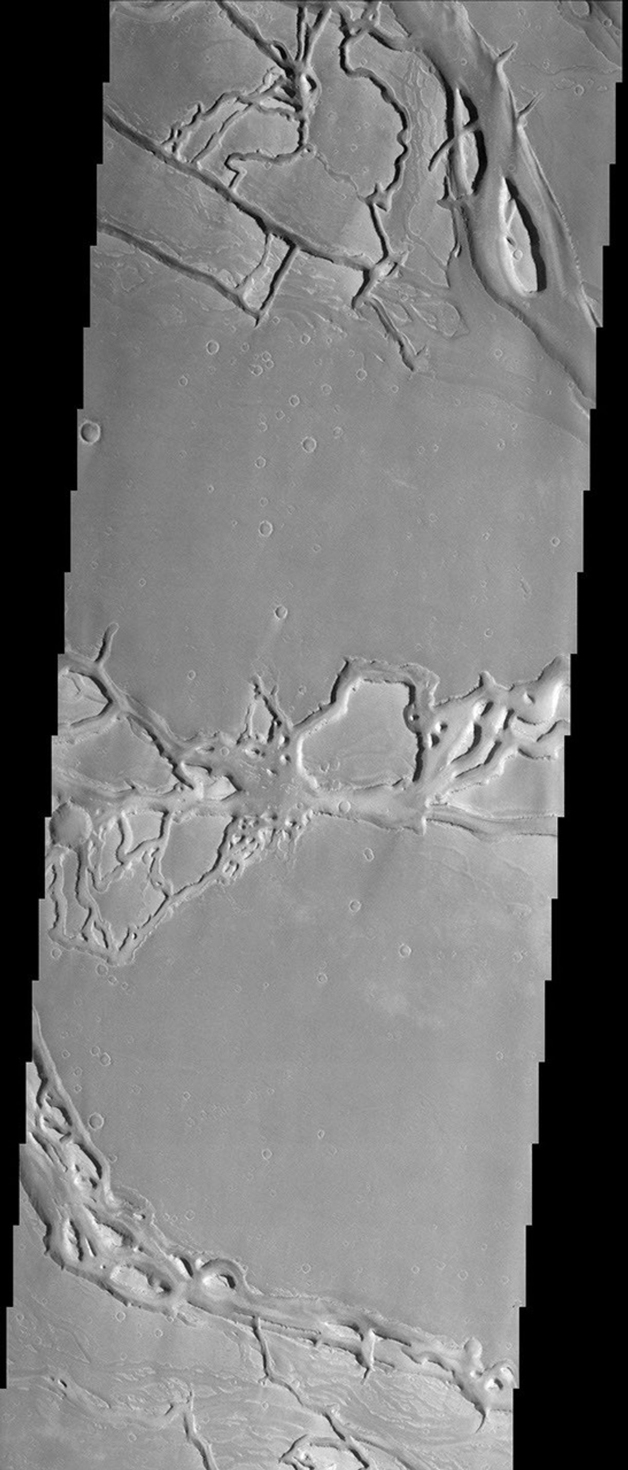 The force of moving water from a flood carved these teardrop-shaped islands within Granicus Valles, imaged here by NASA's Mars Odyssey spacecraft. The orientation of the islands can be used as an indicator of the direction the water flowed.