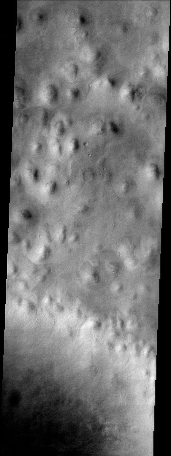 Hills abound in this portion of Mars imaged by NASA's Mars Odyssey spacecraft and located in the Vastitas Borealis region of the high northern plains. These hills are part of Scandia Colles.