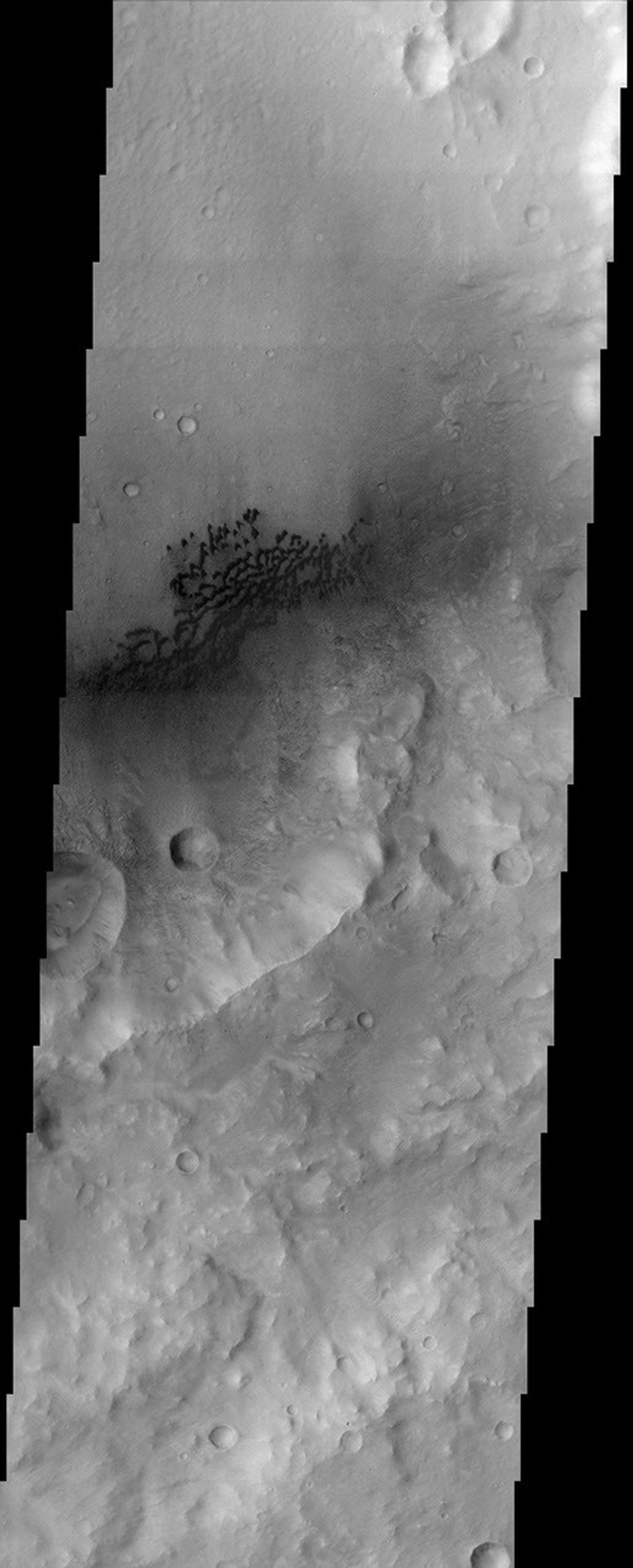 This image from NASA's Mars Odyssey spacecraft shows the eastern portion of a region on Mars called Hesperia Planum. Immediately visible in the image is the dark barchan type dunes that are being blown against the southeast wall of the crater.