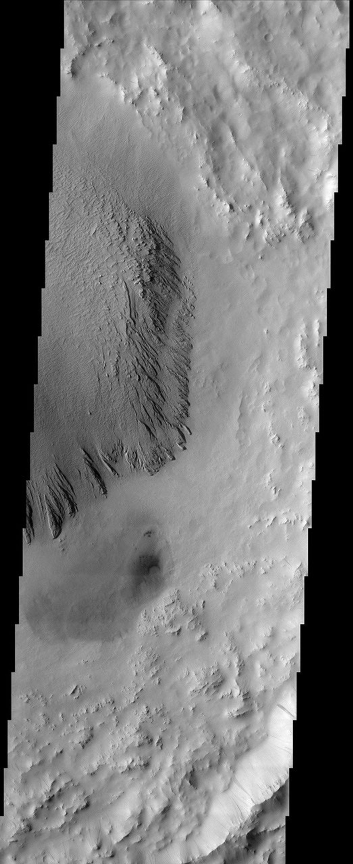 This image from NASA's Mars Odyssey shows deposits in a crater located in Arabia Terra. Arabia is generally dust covered and dark streaks or dust avalanches are present in the crater walls.