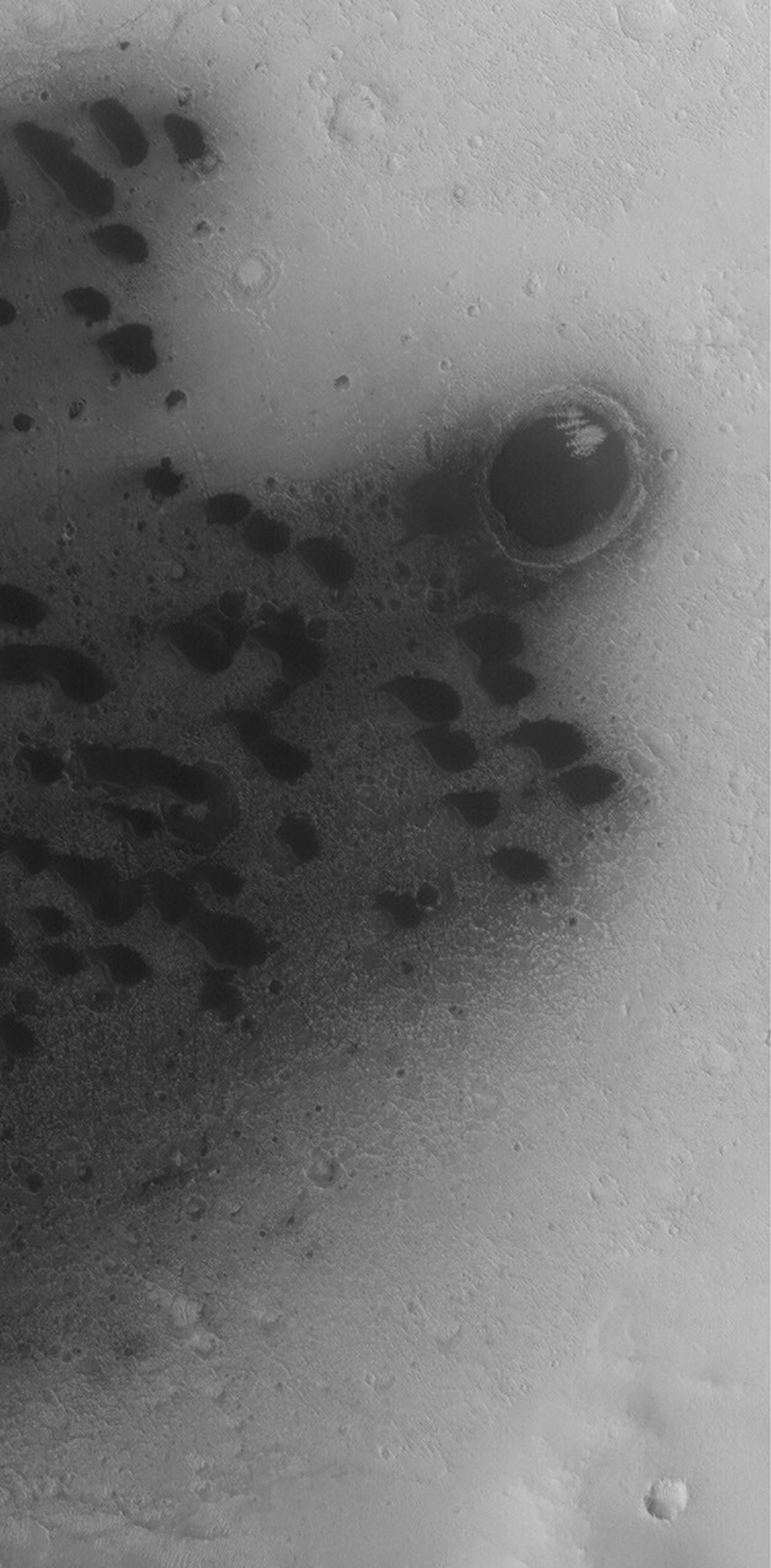 NASA's Mars Global Surveyor shows small barchan dunes on the floor of a crater in western Arabia Terra on Mars. Similar dunes are found in most of the larger craters of this region.