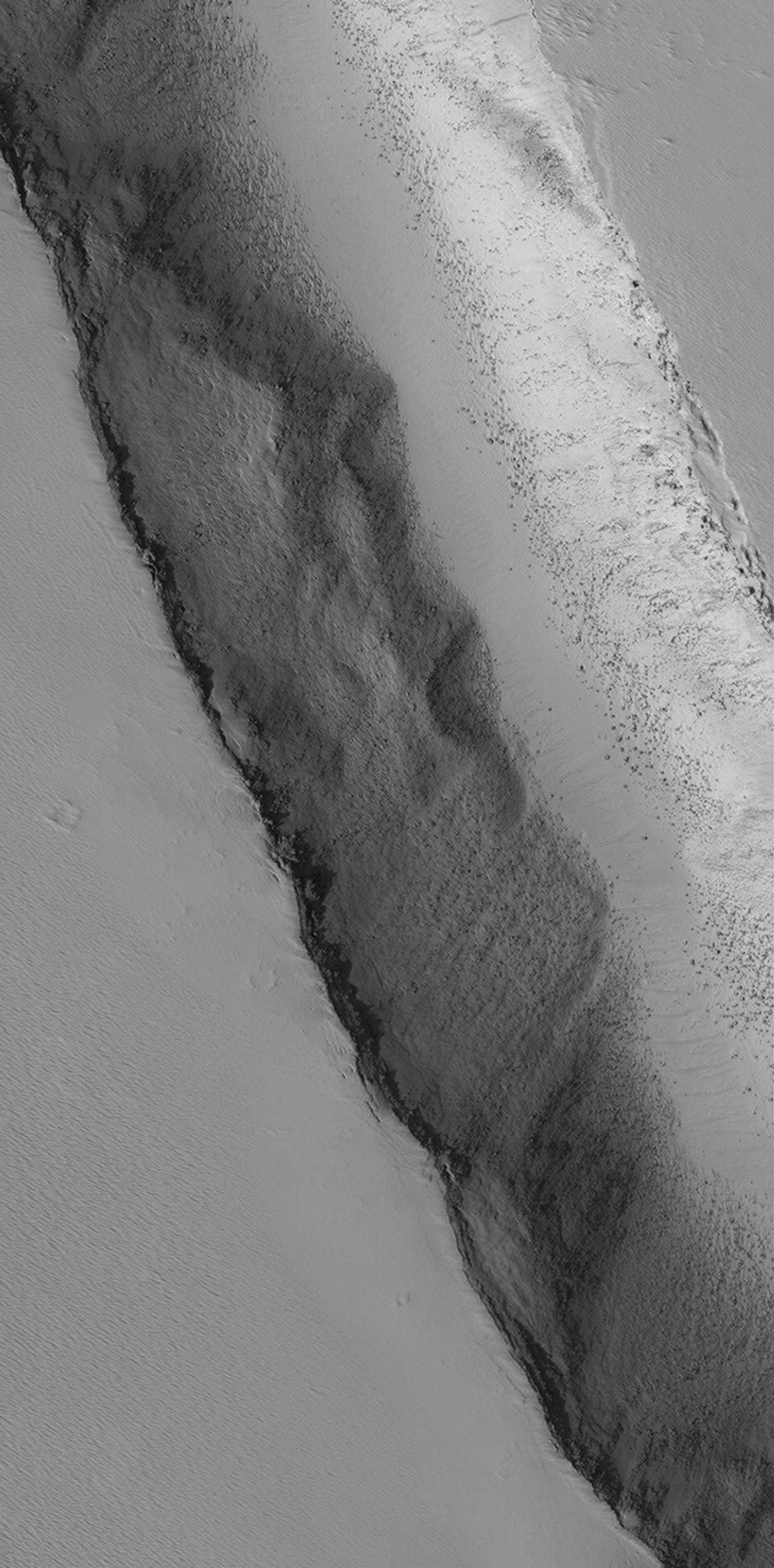 NASA's Mars Global Surveyor shows the interior of a trough, formed by faulting, on the lower southwest flank of Biblis Patera, a volcano in the Tharsis region of Mars. Boulders attest to the hardness of volcano rock, largely mantled with dust.