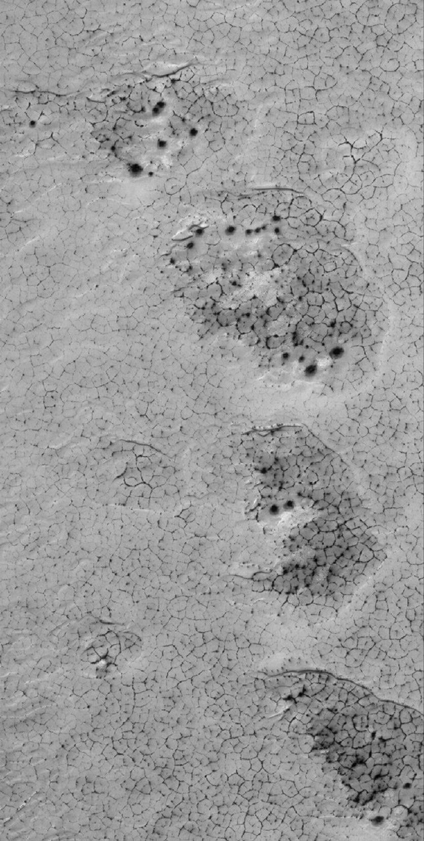 NASA's Mars Global Surveyor shows dark-outlined polygons on a frost-covered surface in the south polar region of Mars.