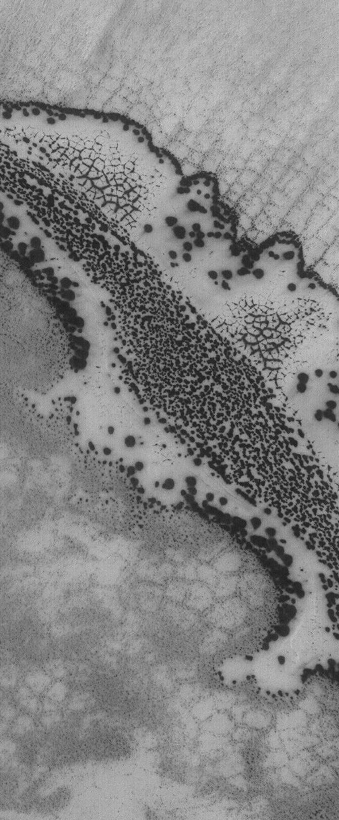 NASA's Mars Global Surveyor shows varied springtime patterns formed in defrosting, seasonal carbon dioxide frost in the south polar region of Mars. Polygonal forms such as these might indicate the presence of ice below the surface.