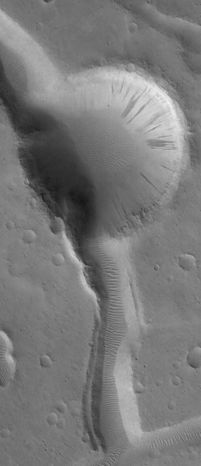 NASA's Mars Global Surveyor shows an impact crater cut by troughs which formed after the crater formed. The crater and troughs have large windblown ripples on martian floors.