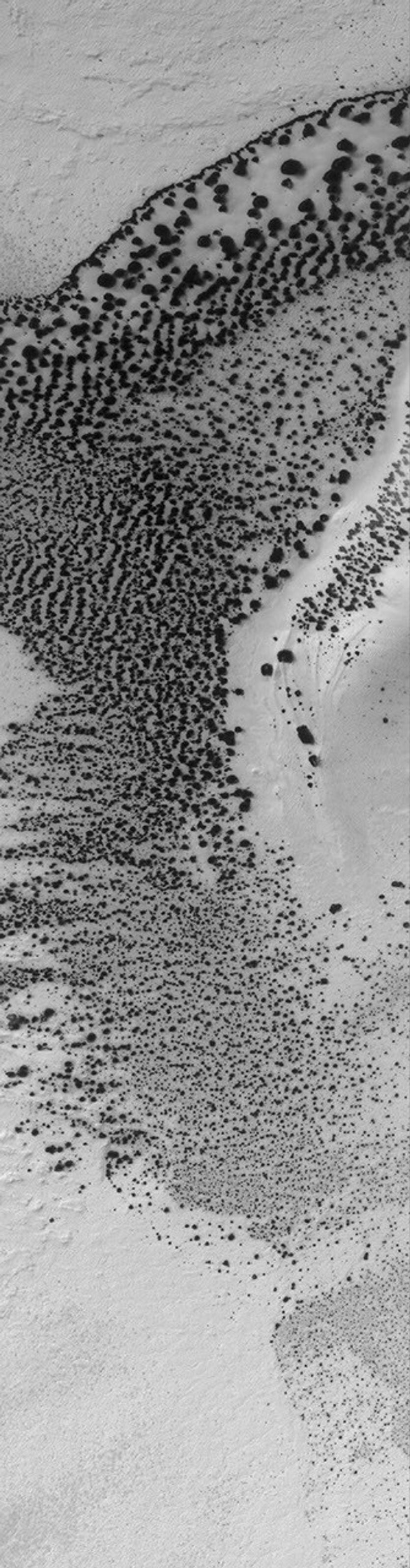 NASA's Mars Global Surveyor shows a patch of frost-covered, dark sand that, at the time the picture was acquired in June 2005, had begun to defrost. The frost is carbon dioxide.