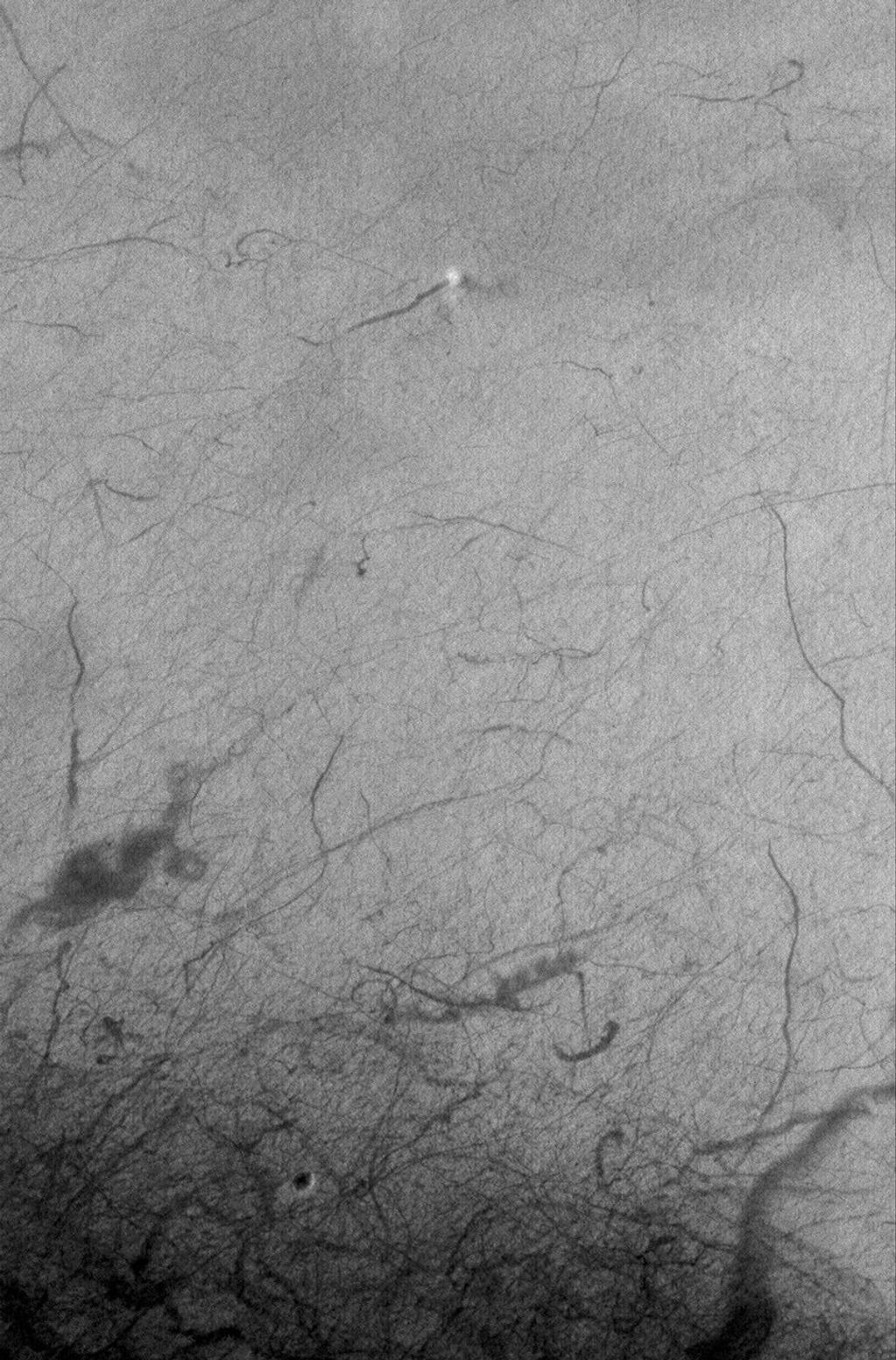 NASA's Mars Global Surveyor shows a dust devil caught in the act of creating a dark streak on the floor of the large, south mid-latitude crater, Mendel, on Mars.